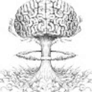 Meet your Posher, Melvyn ignacio